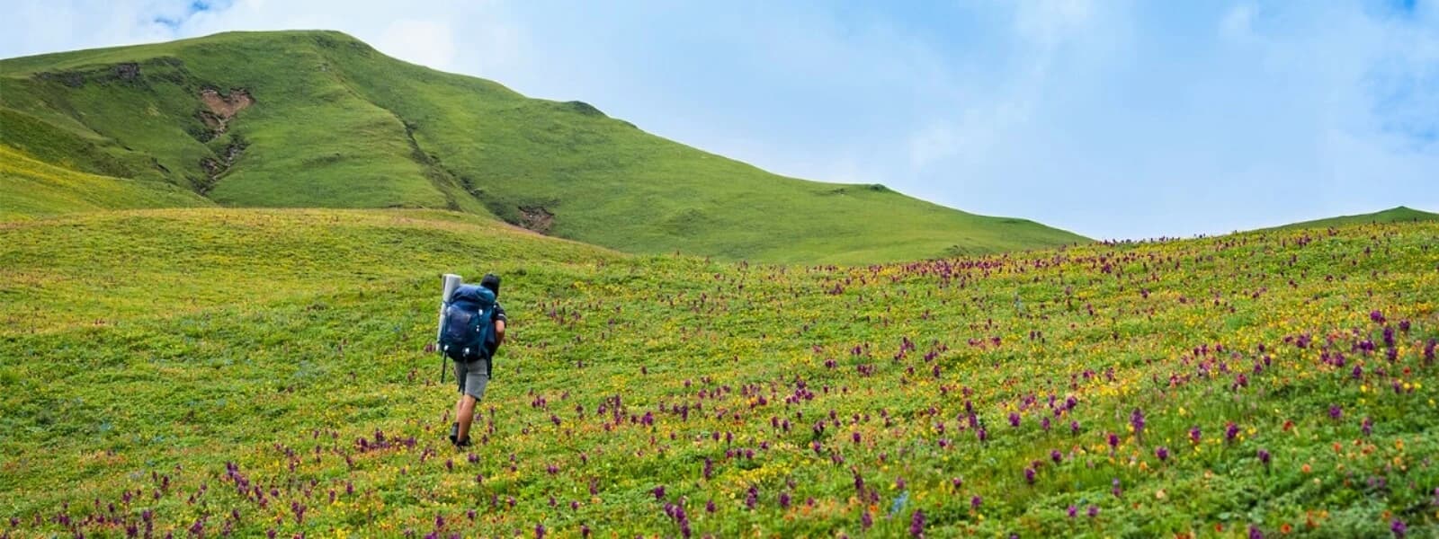 The Unexplored Badimalika