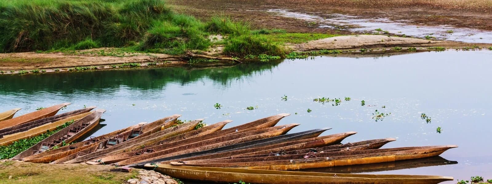 Benefits of Chitwan Jungle Safari Tour