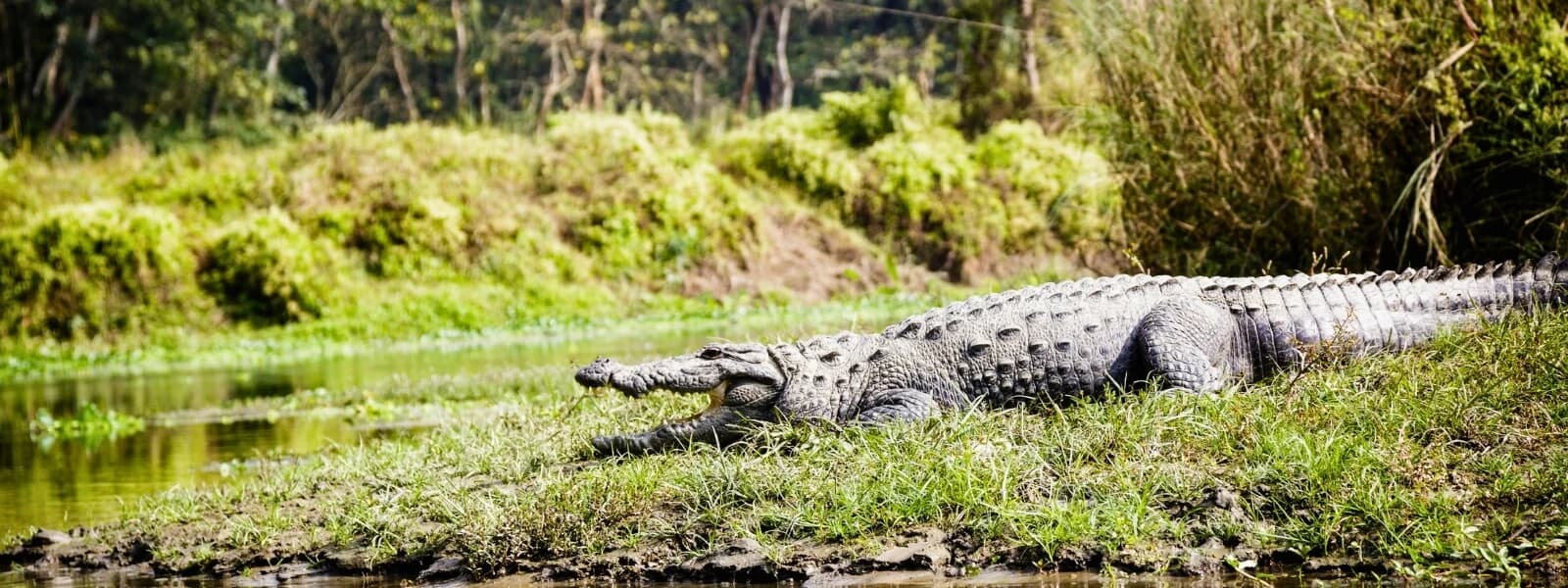 Chitwan National Park