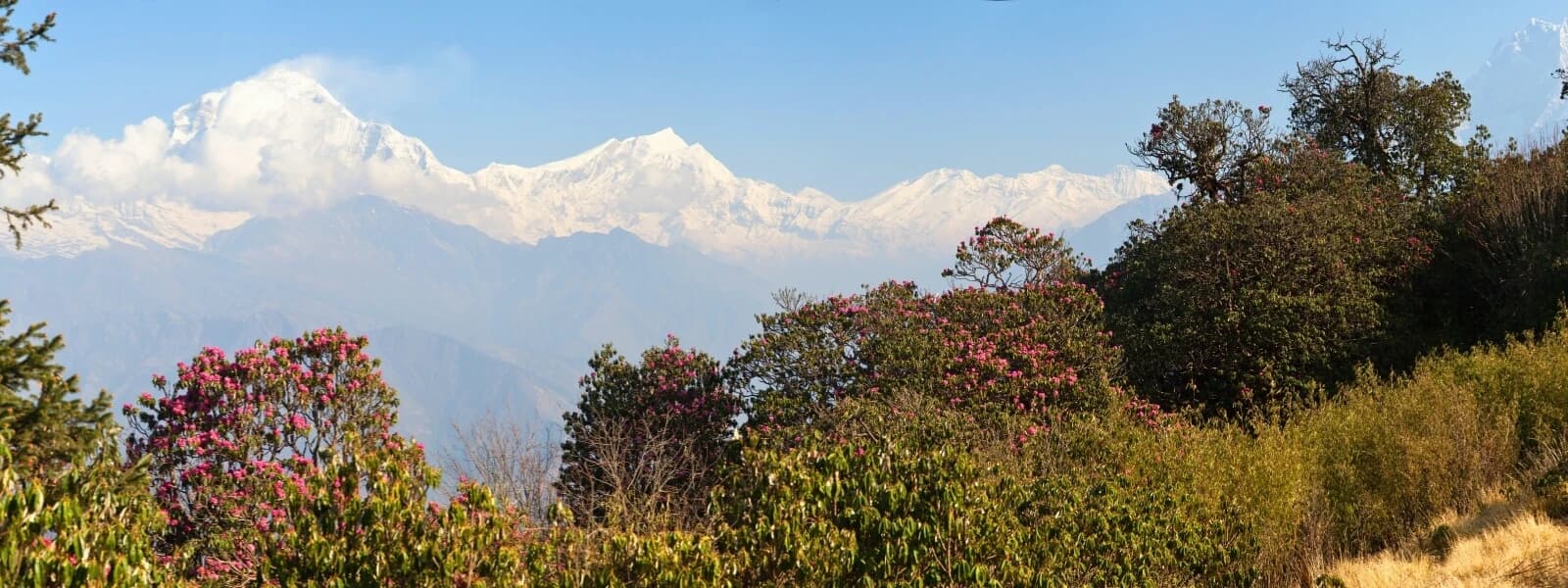Top 7 Trekking Places in Nepal