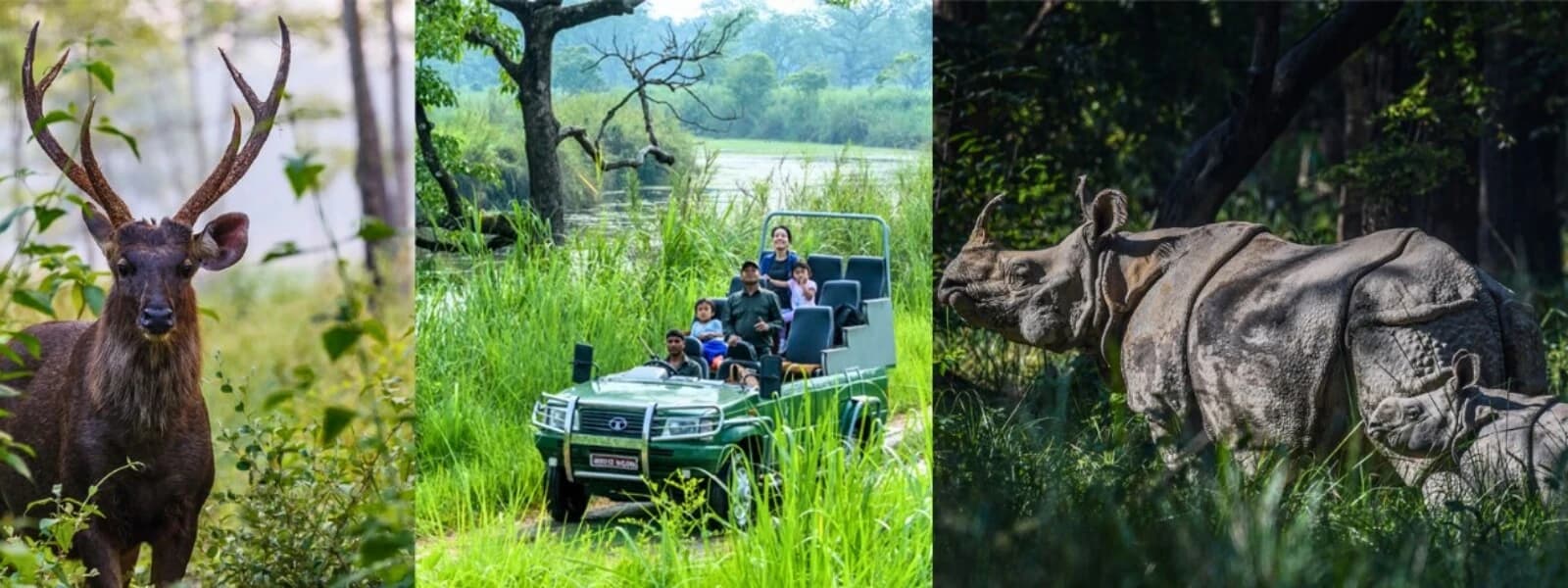 Bardia National Park