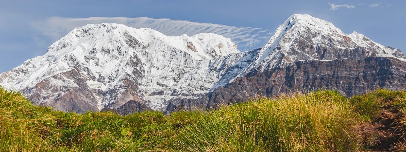 Scenic landscape of the Mardi Himal Trek with snow-capped peaks in the background