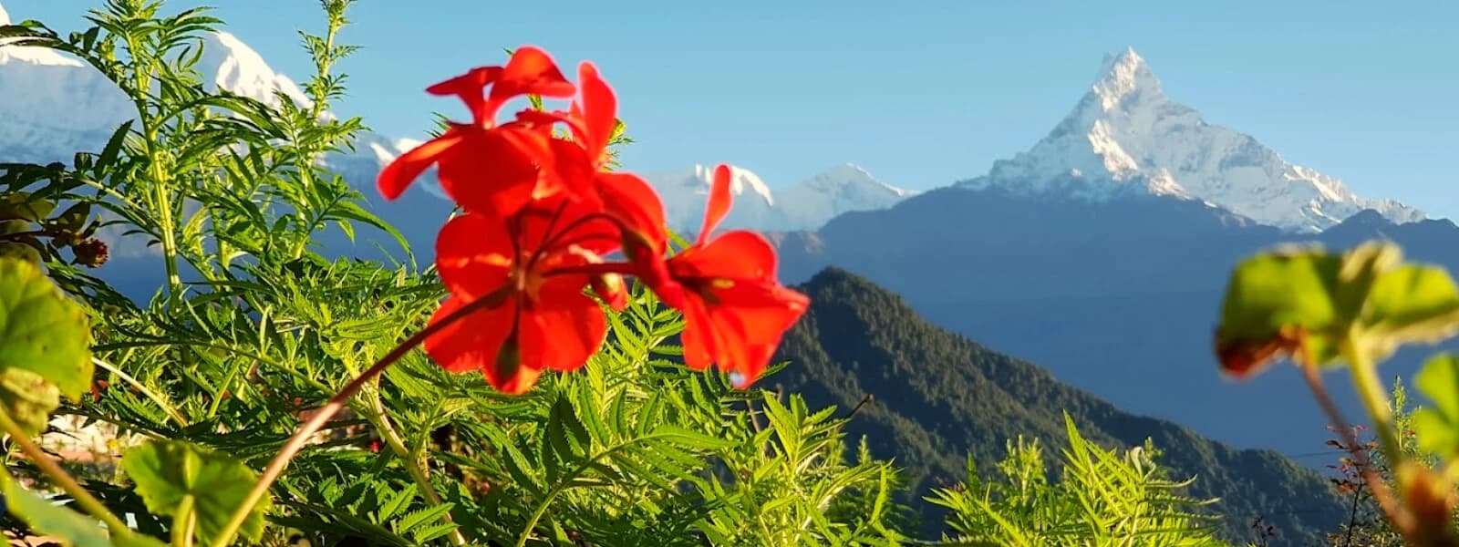 Nepal Leisure Tour