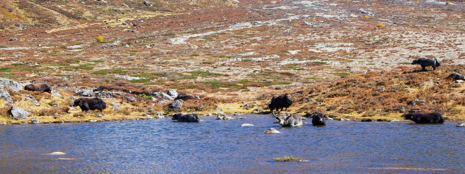 places to visit in nepal