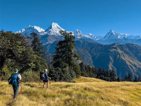 A breathtaking panoramic view of Macchapucchre with the majestic Fishtail Mountain in the background