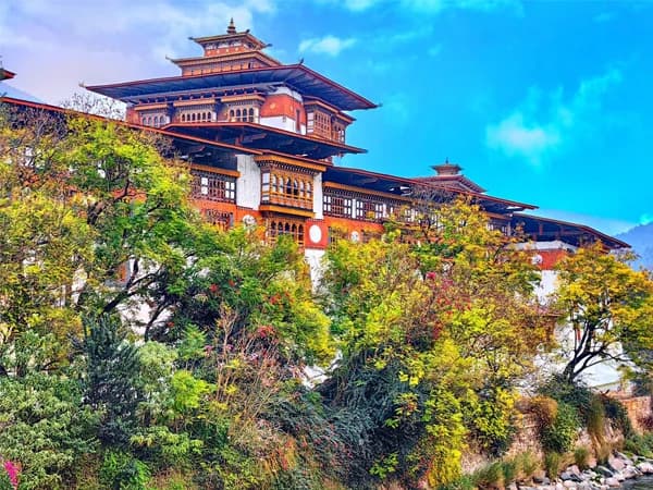 Bhutan adventure tour through forest