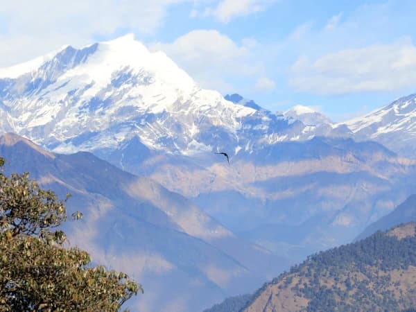 Abc Short Trek Nepal
