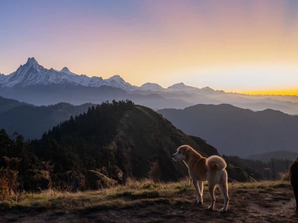 Annapurna Mountain Region View From Poon Hill