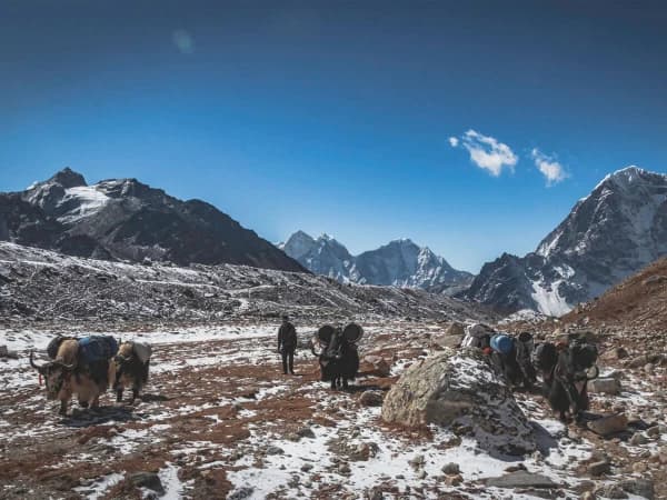 Local Sherpas On Himalayas