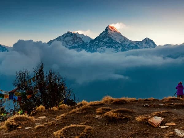 Ghorepani Poon Hill Tour 8 Days
